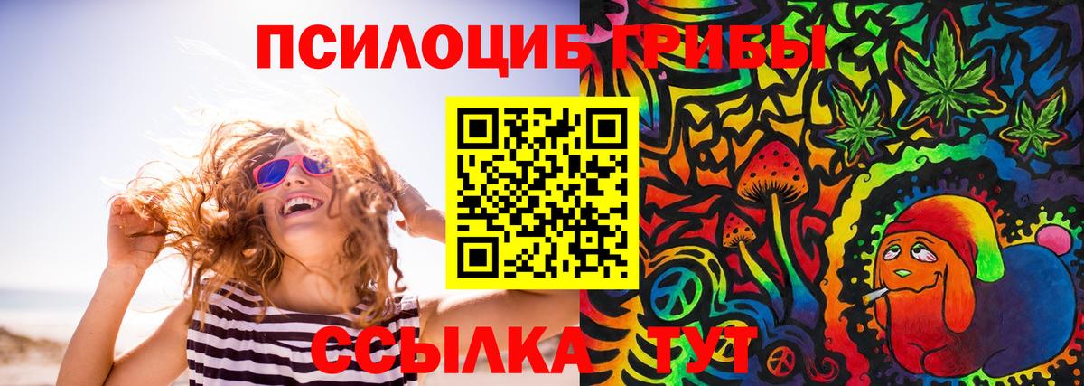 где купить наркотик  Вход с VPN  Псилоцибиновые грибы ЛСД  Тосно  Галлюциногенные грибы ЛСД 