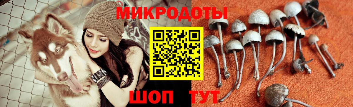 Галлюциногенные грибы MAGIC MUSHROOMS Тосно